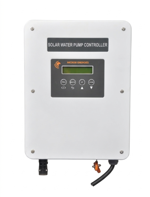 Gemini_Generated_Image_i5nfv0i5nfv0i5nf